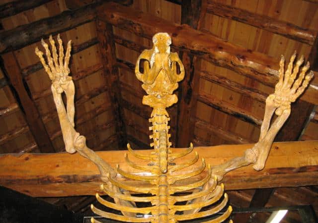 Museo de la Cueva del Oso – Tella
