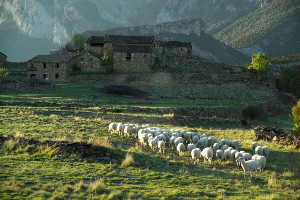 Reserva de la Biosfera