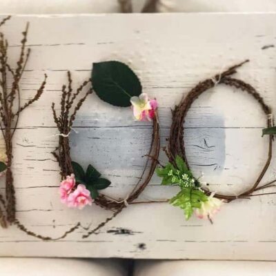 AETS Ordesa Sobrarbe Pirineos