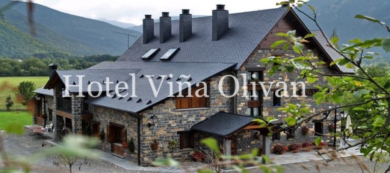 Apartamentos Viña Oliván