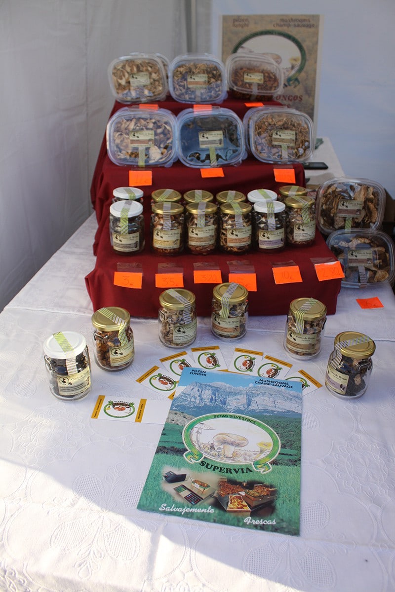 AETS Ordesa Sobrarbe Pirineos