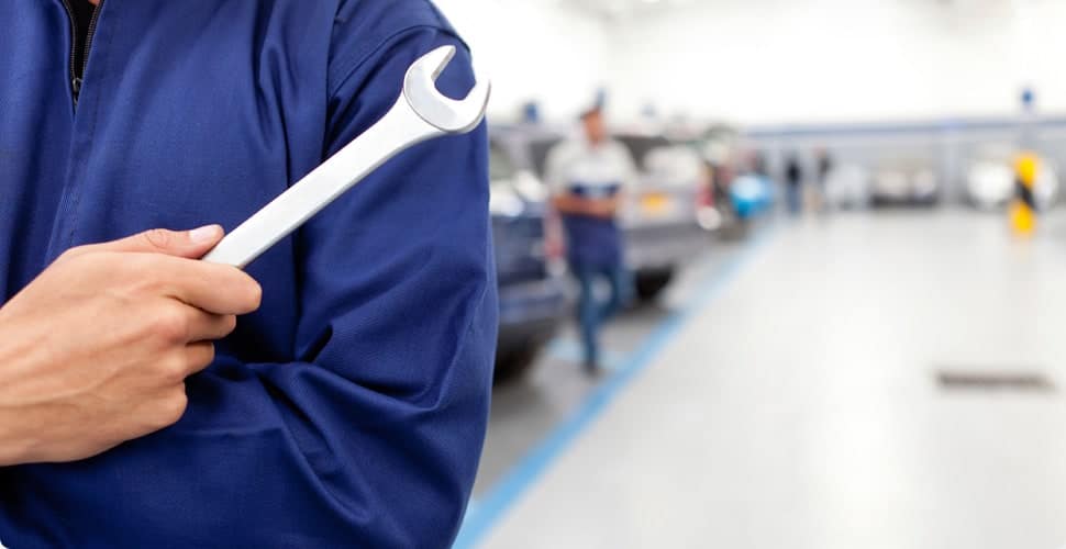 AETS Ordesa Sobrarbe Pirineos