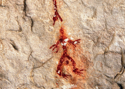 AETS Ordesa Sobrarbe Pirineos