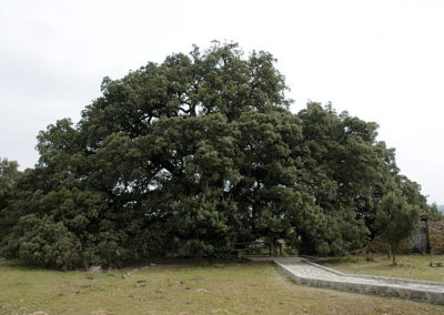 AETS Ordesa Sobrarbe Pirineos