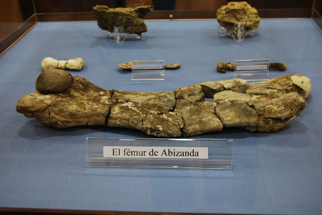 Museo Paleontológico de Sobrarbe – Lamata
