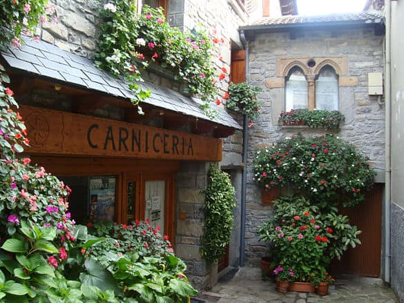 AETS Ordesa Sobrarbe Pirineos