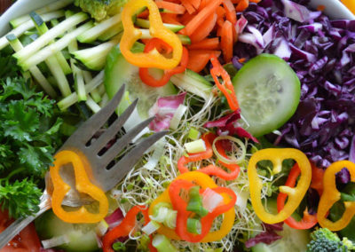 AETS Ordesa Sobrarbe Pirineos