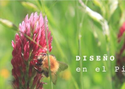 AETS Ordesa Sobrarbe Pirineos