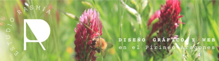 Rasmia Estudio
