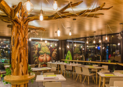 AETS Ordesa Sobrarbe Pirineos