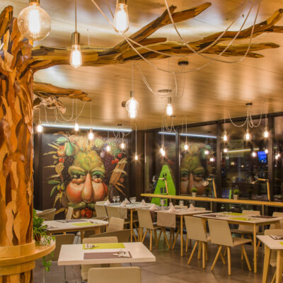 AETS Ordesa Sobrarbe Pirineos