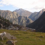 AETS Ordesa Sobrarbe Pirineos AETS Ordesa Sobrarbe Pirineos