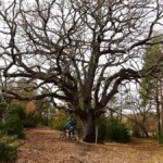 AETS Ordesa Sobrarbe Pirineos